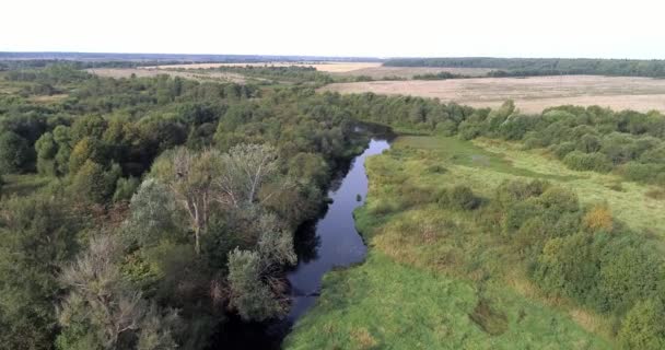 Drone légi felvétel mocsár folyó körül zöld legelők lenyűgöző tájképet. Fogalom éghajlat kültéri természet. — Stock videók