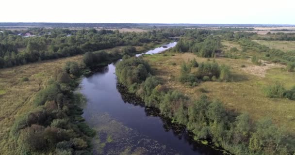 Drohne Luftbild des Sumpfflusses umgeben von grünen Weiden mit atemberaubenden Landschaft cineastischen Ansichten. Konzept Klima Natur im Freien. — Stockvideo