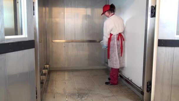 Žena zavlažovací podlaha s dezinfekčním roztokem průmyslové potravinářské zařízení. — Stock video