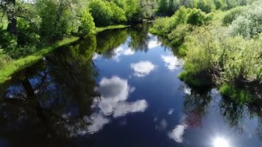 Muhteşem manzaralı yeşil tarlalarla çevrili orman bataklık arazilerinin güzel manzarası. Açık hava iklimi kavramı.