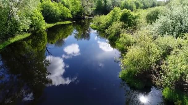 Vista aérea del río bosque con transparente lleno de agua dulce rodeado de verdes pastos con impresionantes vistas al paisaje cinematográfico. Concepto clima naturaleza al aire libre. — Vídeos de Stock