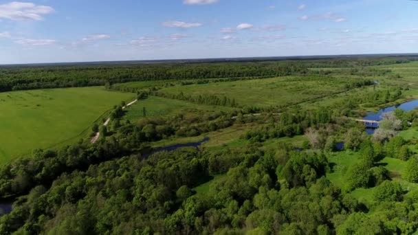 Вид с воздуха на лесную реку с прозрачной, наполненной пресной водой, окруженной зелеными пастбищами с потрясающими пейзажными кинематографическими видами. Концепция климата. — стоковое видео