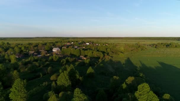 Drone antenn video av träsk flod omgiven av gröna betesmarker med fantastiska landskap filmisk utsikt. Begreppet klimat utomhus natur. — Stockvideo