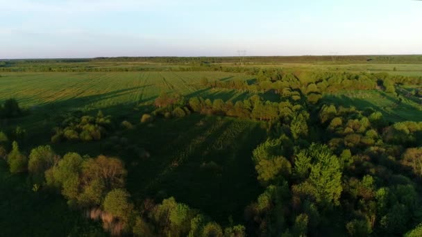 Drone légi felvétel mocsár folyó körül zöld legelők lenyűgöző tájképet. Fogalom éghajlat kültéri természet. — Stock videók