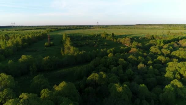 Drone video aereo di palude fiume circondato da pascoli verdi con vista mozzafiato paesaggio cinematografico. Concetto clima natura esterna. — Video Stock