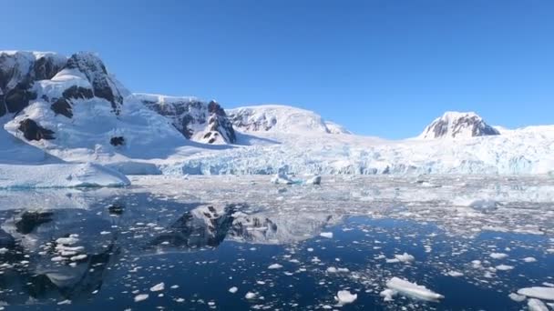 Robben ruhen auf einem schwimmenden Eisbergstück. — Stockvideo