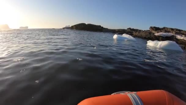 Egy evezős csónak úszik át a jeges antarktiszi tengeren.. — Stock videók
