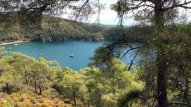 Akdeniz Koyu 'ndaki beyaz yatlar.