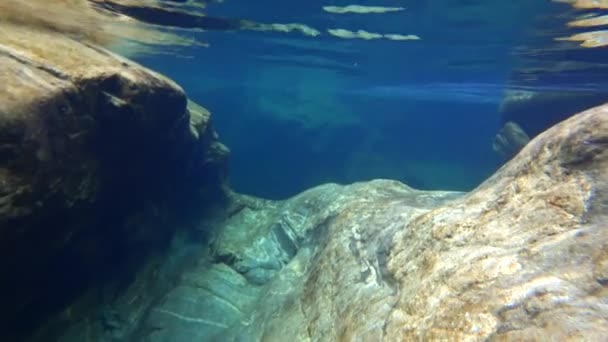Undervattensutsikt över slät klippa i Verzaska bergsflod i Schweiz. — Stockvideo