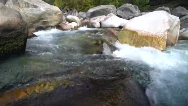 Des eaux rapides et fortes tourbillonnent dans la rivière Verzaska en Suisse. — Video
