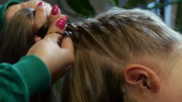 Moda piękno plecionki warkocze w salon fryzjerski. — Wideo stockowe