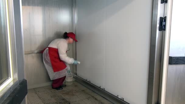 Vrouw produceert sanitization industriële apparatuur voor het drogen van broodkruimels. — Stockvideo