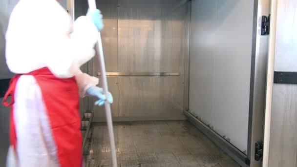 Woman watering floor with disinfectant solution industrial food equipment. — Stock Video