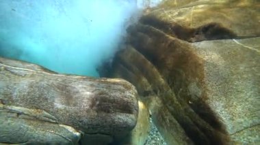 Su taşı keskinleştirir.