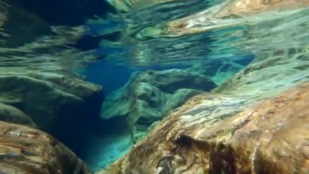 Primer plano de piedra en el agua del río de montaña Verzaska en Suiza. — Vídeo de stock