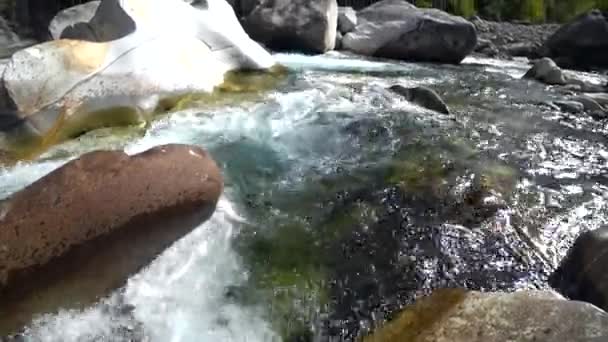 Water swirls boils in swirling churning mountain river Verzaska in Switzerland. — Stock Video