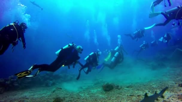 Potápění v blízkosti vraku lodi pod vodou na Fidži. — Stock video