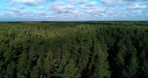 Drone luchtfoto panorama van het platteland met huizen en tuinen aan een rivier omgeven door achtergrond lucht en wolken met een prachtig landschap filmische uitzichten. Concept klimaat buiten natuur. — Stockvideo