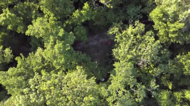 Pemandangan pemandangan udara indah cenote sinkhole. — Stok Video