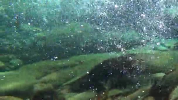 Unterwasser-Ansicht der schnell fließenden Gewässer des reinen Gebirgsflusses Verzaska in der Schweiz. — Stockvideo