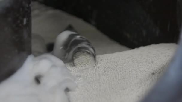 Rohre aus rostfreiem Stahl sind das Endprodukt des Walzens von Metall in der Fabrik. — Stockvideo