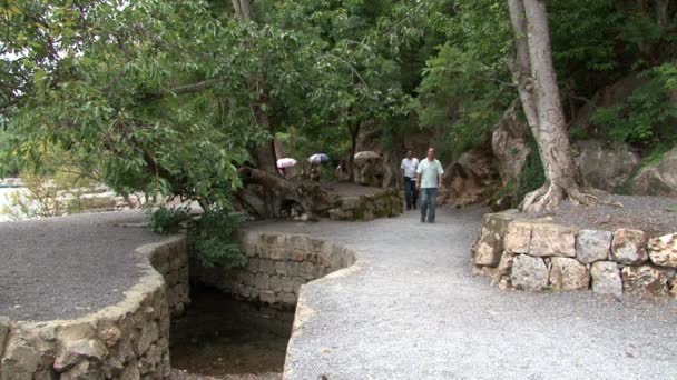 Árboles en la orilla del lago Fuxian en la provincia de Yunnan China. — Vídeo de stock