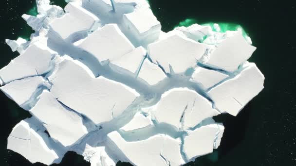 Calentamiento global y cambio climático. Icebergs From Melting Glacier in Antarctica. — Vídeo de stock