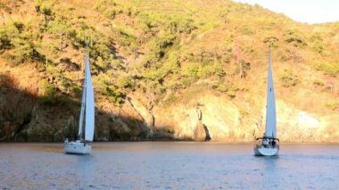 Beyaz yatlar gün ışığında yelken açar. Deniz ve dağların arka planında..