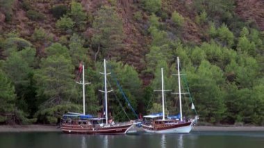Lüks yatlar Türkiye 'de deniz kıyısındaki yeşil ağaçların arka planında sessizce duruyor.