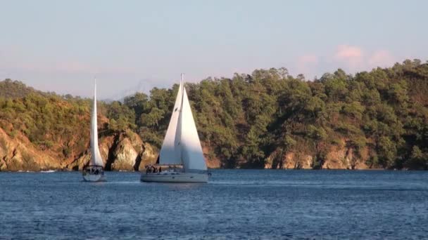 Hvite yachter i bakgrunnen av vakkert havlandskap i Tyrkia. – stockvideo