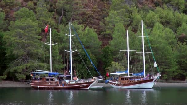 Luxe yachts quietly stand on background of green trees in bay of sea in Turkey. — Stock Video