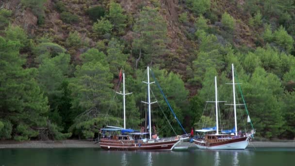 Luxe yachts quietly stand on background of green trees in bay of sea in Turkey. — Stock Video