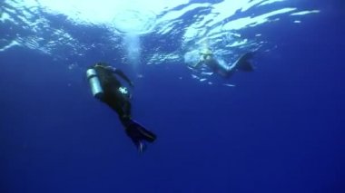 Genç kadın denizkızı, kameraman için poz veriyor..