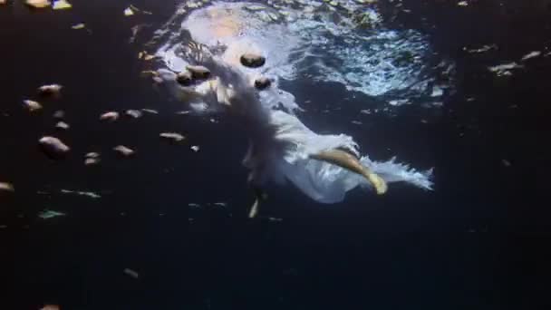 Jeune femme modèle sous-marin ange en tissu blanc et caméraman. — Video