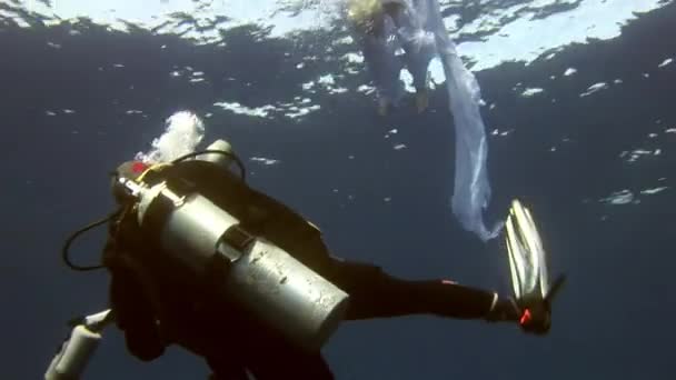 Young woman underwater model angel in white cloth and cameraman. — Stock Video