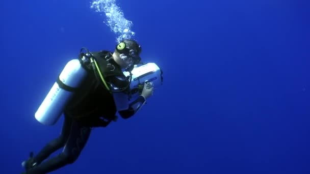 Cameraman shoots mermaid underwater on clean blue background in sea. — Stock Video