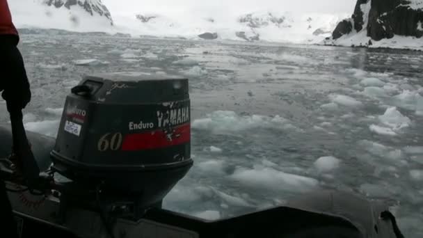 Les gens en bateau en caoutchouc près de Ice floe et iceberg de l'océan Antarctique. — Video