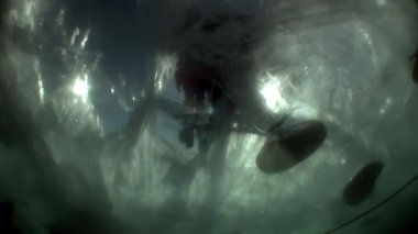 Baykal Gölü 'nün soğuk suyunun altındaki su altı buzu..