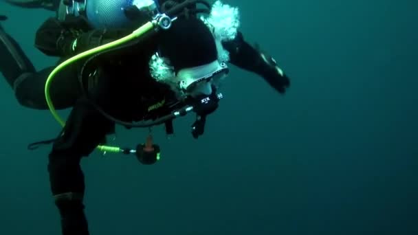 Vacaciones y buceo en Año Nuevo cerca del árbol de Navidad bajo el agua. — Vídeos de Stock