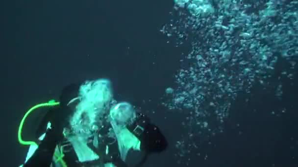 Vacaciones y buceo en Año Nuevo cerca del árbol de Navidad bajo el agua. — Vídeos de Stock