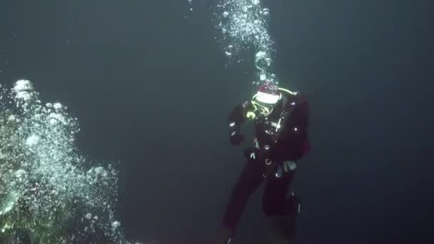 Underwater New Year. — Stock Video