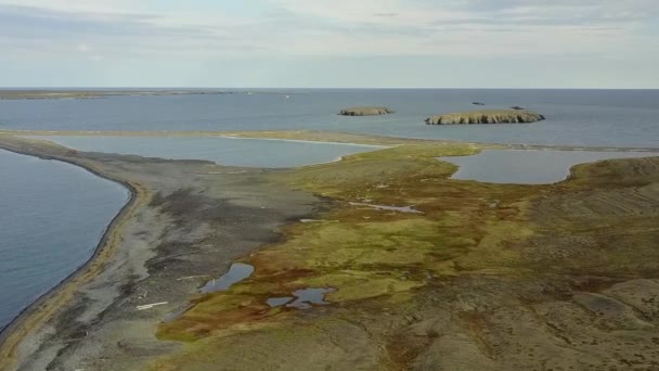 砂漠の海岸の風景Novaya Zemlya空中風景. — ストック動画