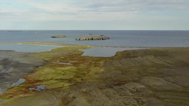 Küstenlandschaft auf der Wüste Nowaja Semlja Luftaufnahme. — Stockvideo