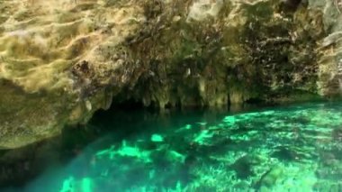 Yucatan Meksika 'da sualtı dalışı.