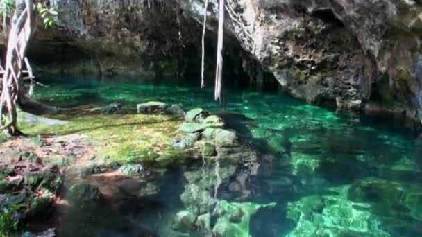 Buceo bajo el agua en Yucatán México cenotes. — Vídeo de stock