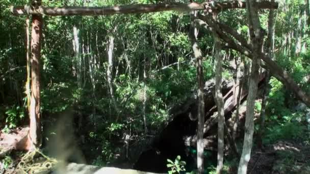 Buceo bajo el agua en Yucatán México cenotes. — Vídeo de stock
