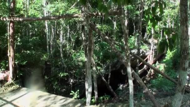 Búvárkodás víz alatt Yucatan Mexikó cenotes. — Stock videók