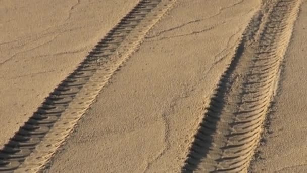 Gruppo di turisti in quad giro ATV sulla sabbia e saluto agitando. — Video Stock