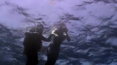 Dalgıç ve genç kadın sualtı modeli denizkızı.