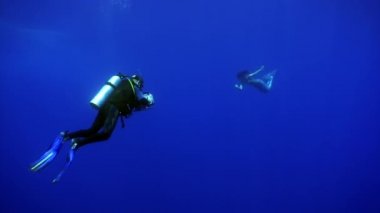 Genç kadın denizkızı, kameraman için poz veriyor..